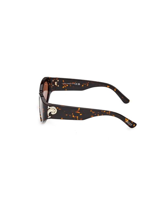 Emilio Pucci Black Ep0249 52E Sunglasses Acetate Cat Eye Normal
