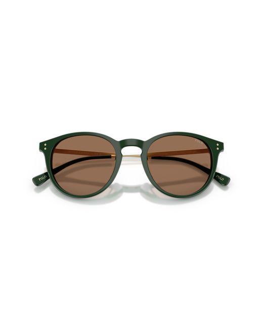 Polo Ralph Lauren Black Ph4239U 614073 Sunglasses Acetate Pantos Normal for men