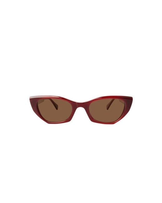 Xlab Black Irlanda Sunglasses Acetate Cat Eye Polarized