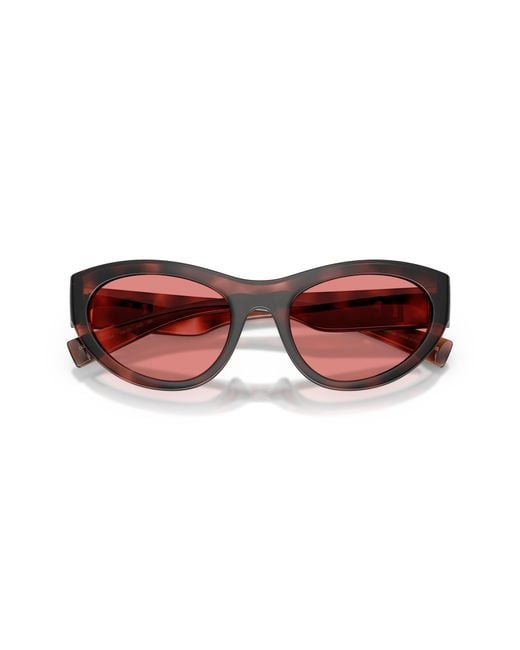 Dolce & Gabbana Black Dg6207 347684 Sunglasses Injected Cat Eye Normal
