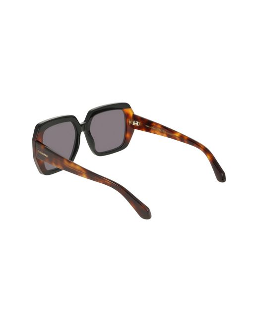 Ferragamo Black Sf2081S 006 Sunglasses Acetate Squared Normal