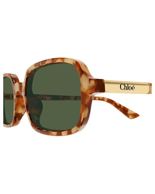 Chloé Black Ch0363S 003 Sunglasses Acetate Squared