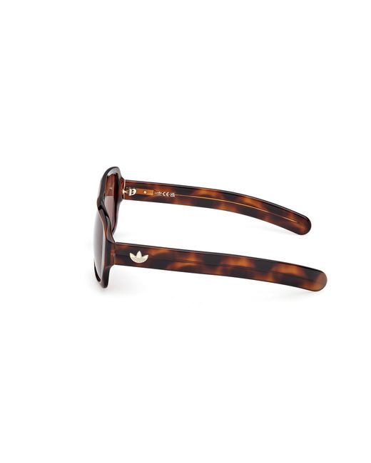 Adidas Black Or0132 52E Sunglasses Acetate Squared Normal