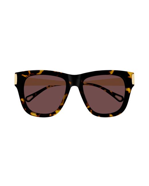 Chloé Black Ch0349S 003 Sunglasses Acetate Cat Eye