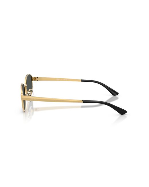 Ray-Ban Black Ray