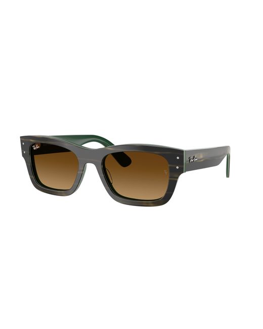 Ray-Ban Black Ray