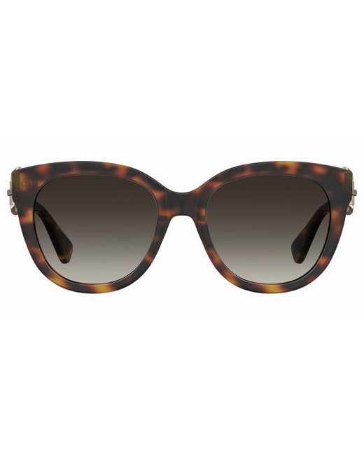 Moschino Black Mos143/S 05L/Ha Sunglasses Injected Butterfly Normal Shaded