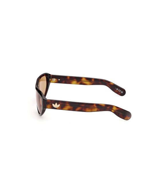 Adidas Originals Black Or0146 53E Sunglasses Acetate Pilot Normal