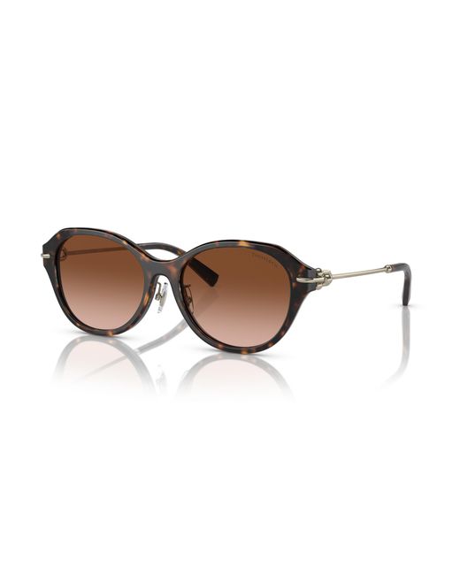 Tiffany & Co Black Tf4210D 80153B Sunglasses Acetate Round Normal Shaded