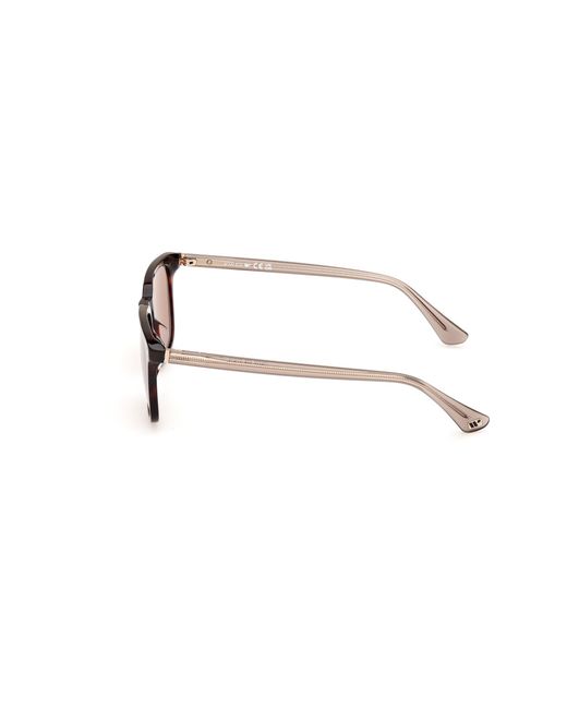 Web Black We0369 56E Sunglasses Acetate Squared Normal for men