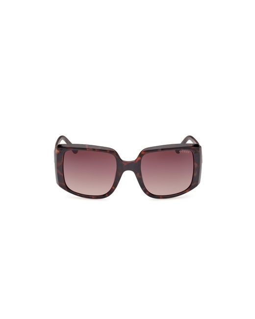 Guess Black Gu00097 52F Sunglasses Injected Squared Normal Shaded