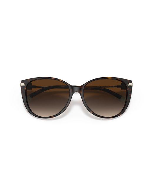 Tiffany & Co Black Tf4178 80153B Sunglasses Acetate Cat Eye Normal Shaded