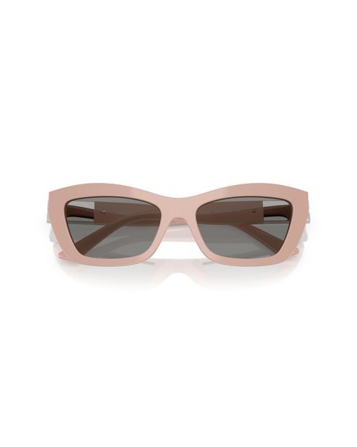 Jimmy Choo Black Jc5030U 501487 Sunglasses Acetate Cat Eye Normal