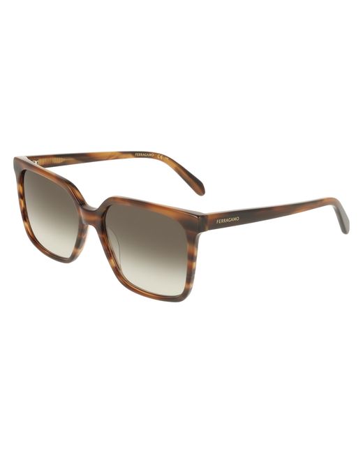 Ferragamo Black Sf2102S 216 Sunglasses Acetate Squared Normal