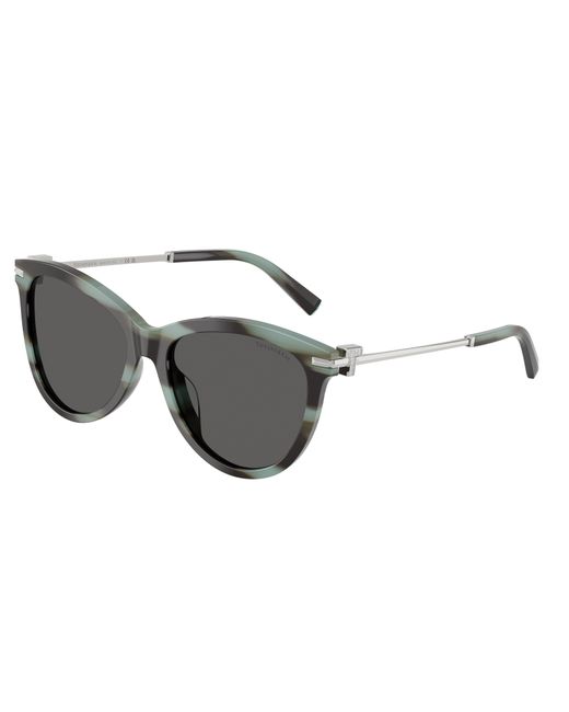 Tiffany & Co Black Tf4258Bu 8443S4 Sunglasses Acetate Pantos Normal