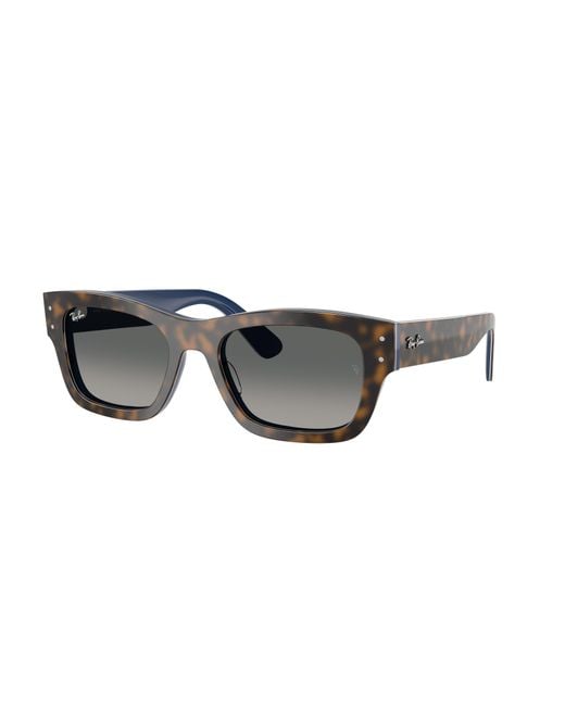 Ray-Ban Black Ray