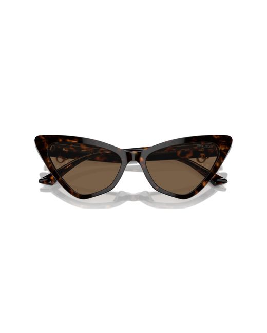 Jimmy Choo Black Jc5008 500273 Sunglasses Acetate Cat Eye Normal