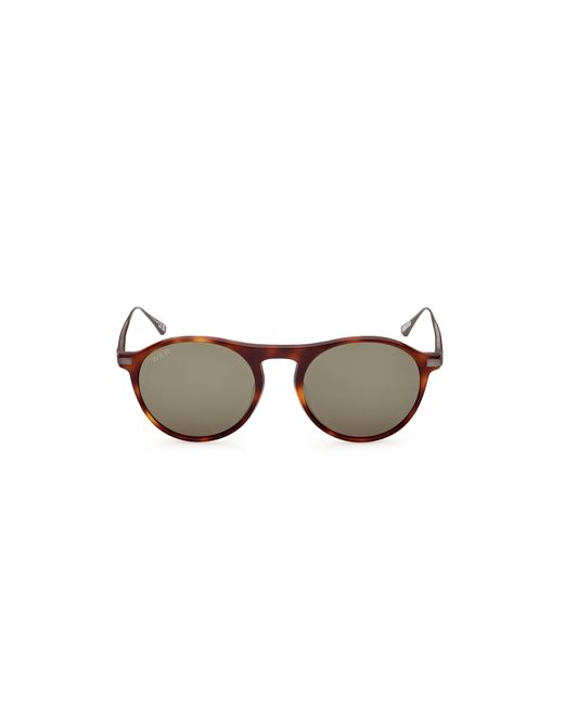 Web Black We0346 52N Sunglasses Acetate Round Normal