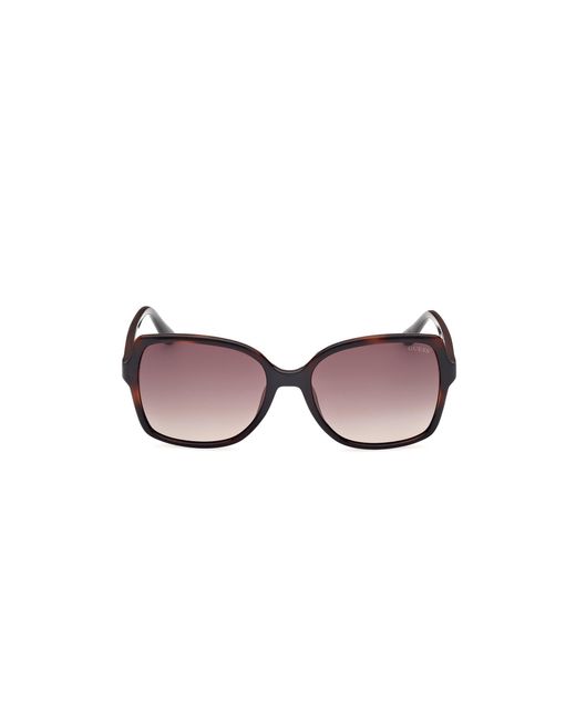 Guess Black Gu00100 52F Sunglasses Injected Squared Normal Shaded