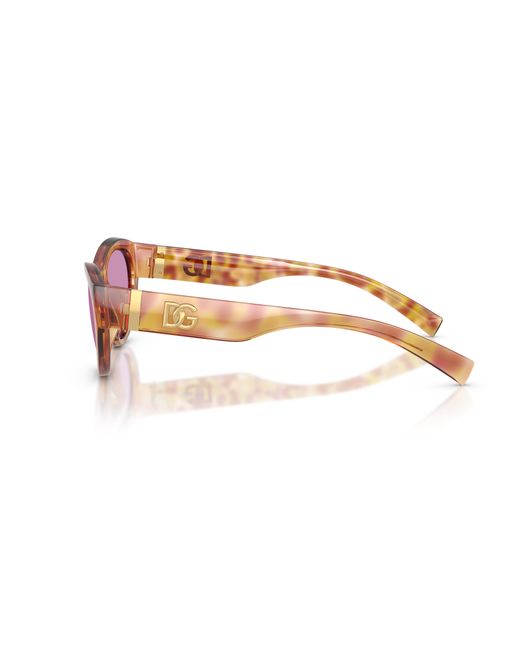 Dolce & Gabbana Black Dg6207 34771A Sunglasses Injected Cat Eye Normal