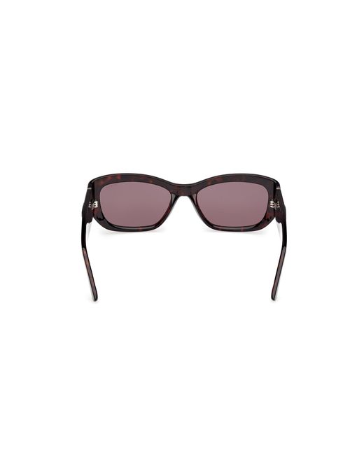 Guess Black Gu00253 52E Sunglasses Injected Squared Normal