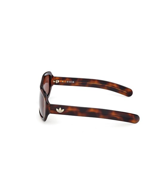 Adidas Black Or0131 52E Sunglasses Acetate Squared Normal