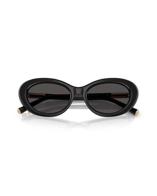 Dolce & Gabbana Black Dg4519 501/87 Sunglasses Acetate Round Normal