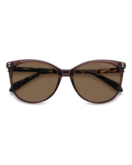 Polaroid Black Pld 4200/S/X 09Q/Sp Sunglasses Acetate Cat Eye Polarized
