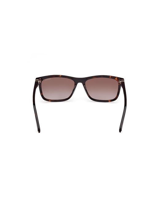 Guess Black Gu00169 52F Sunglasses Injected Squared Normal for men