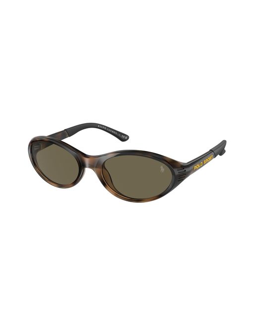 Polo Ralph Lauren Black Ph4197U 5003/3 Sunglasses Injected Round Normal for men