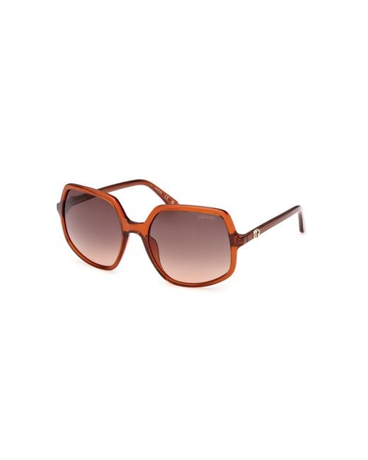 Guess Black Gu00257 44F Sunglasses Injected Squared Normal