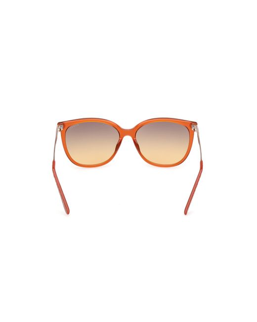 Guess Black Gu00150-H 44F Sunglasses Injected Squared Normal