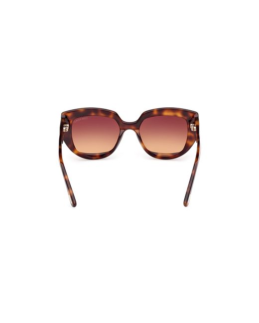 Tom Ford Black Ft1192 Saltzman 53F Sunglasses Acetate Butterfly Normal