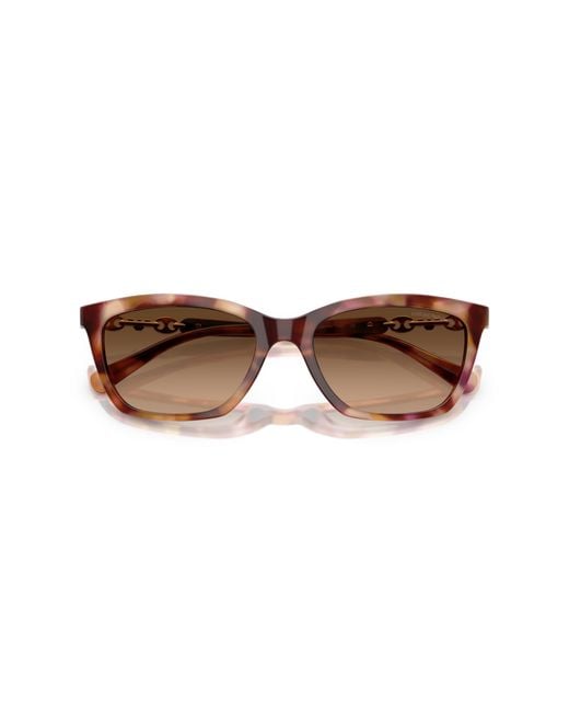 Emporio Armani Black Ea4238 619674 Sunglasses Acetate Cat Eye Normal Shaded