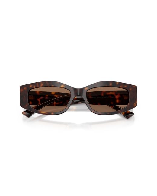 Jimmy Choo Black Jc5046Bu 500273 Sunglasses Acetate Geometric Normal