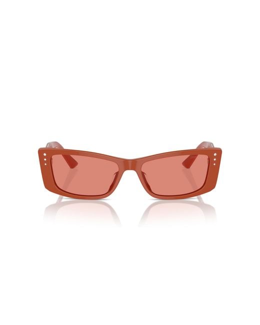 Jimmy Choo Black Jc5002Bu 501084 Sunglasses Acetate Pillow Normal