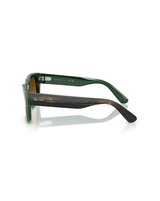 Ray-Ban Black Ray