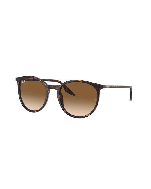Ray-Ban Black Rb2204 Sunglasses Frame Brown Lenses