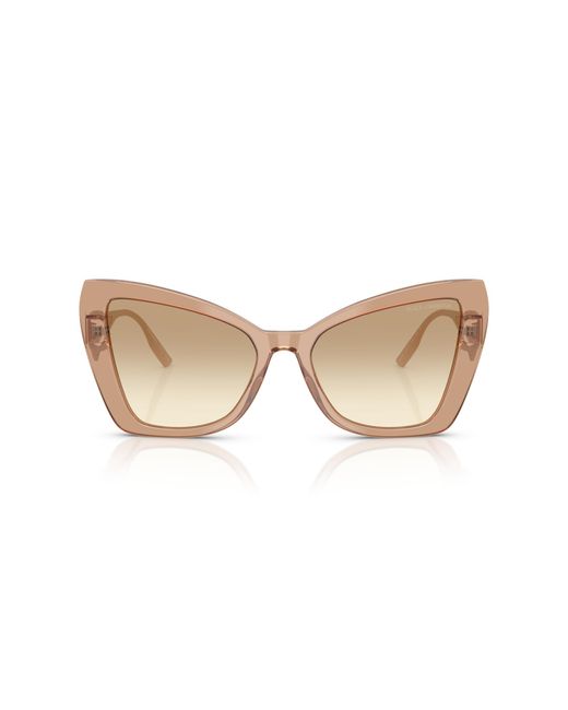Dolce & Gabbana Black Dg4489 343213 Sunglasses Acetate Cat Eye Normal Shaded