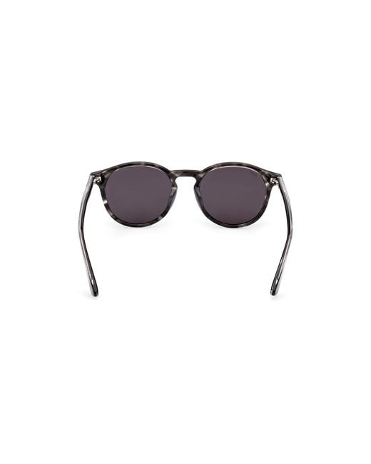 Web Black We0328 05A Sunglasses Acetate Round Normal
