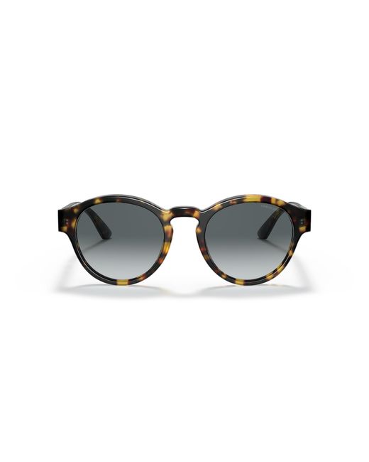Giorgio Armani Black Ar8146 587486 Sunglasses Acetate Pantos Normal Shaded