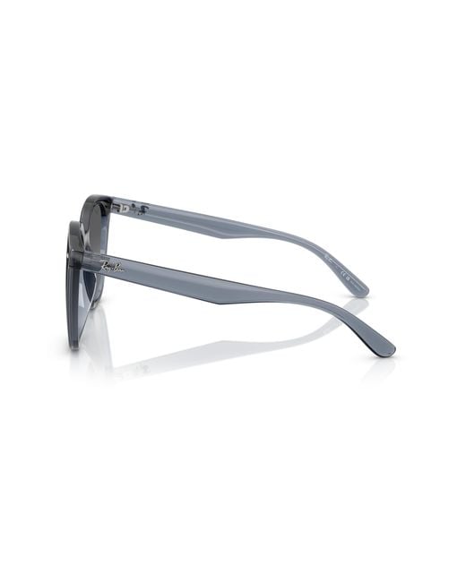 Ray-Ban Black Ray