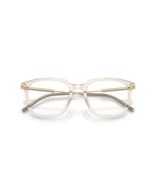 Moncler Black Me2012 3003 Optical Frames Acetate Transparent Pantos Normal