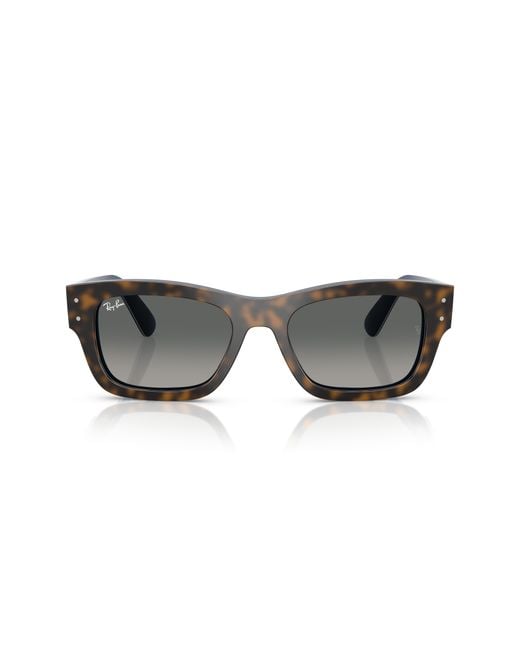 Ray-Ban Black Ray