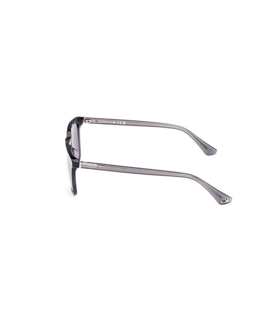 Web Black We0369 92A Sunglasses Acetate Smoke Squared Normal for men