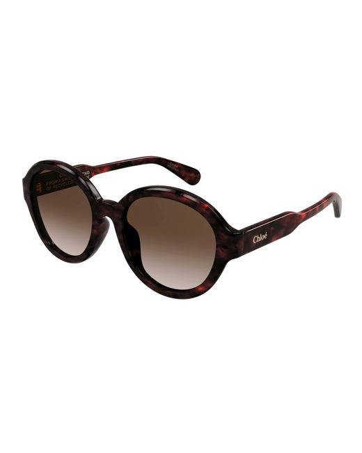 Chloé Black Ch0156Sk 002 Sunglasses Acetate Pantos Shaded