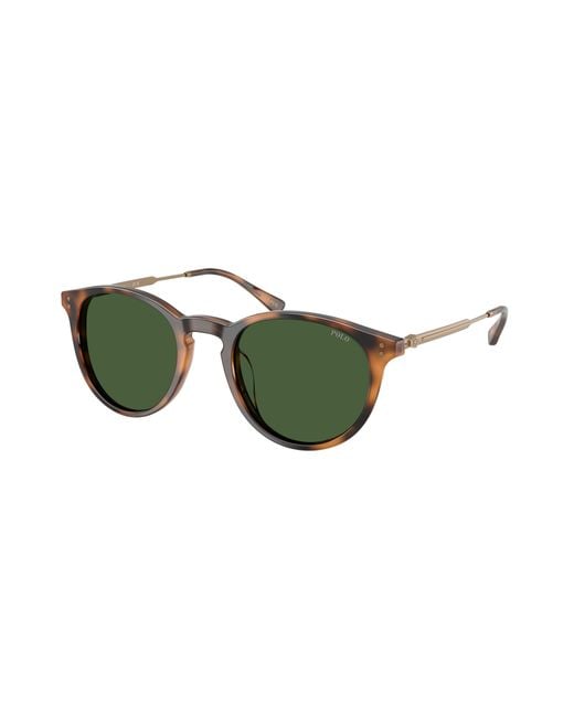 Polo Ralph Lauren Green Ph4239U 500371 Sunglasses Acetate Pantos Normal for men