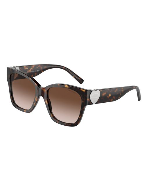 Tiffany & Co Black Tf4216 80153B Sunglasses Acetate Squared Normal Shaded