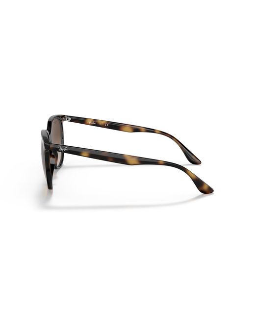 Ray-Ban Black Ray