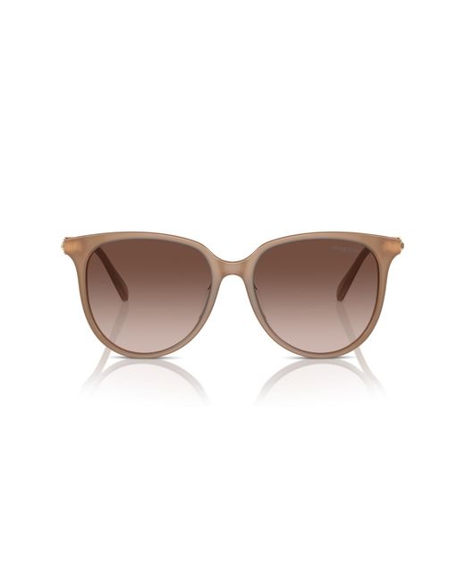 Swarovski Black Sk6023D 200213 Sunglasses Acetate Geometric Normal Shaded
